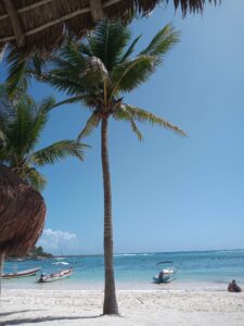 PLAYA-AKUMAL-02