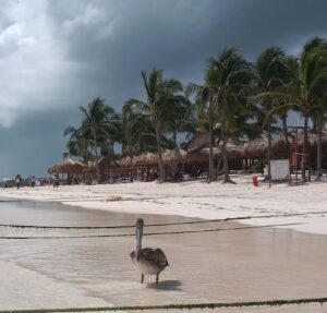 PLAYA-AKUMAL-11