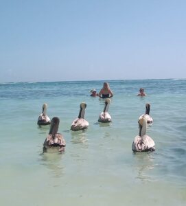 PLAYA-AKUMAL-12